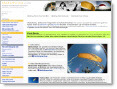 Abbildung Ihrer Webseite als Screenshot mit optimierten Zusatzinformationen als Text hinterlegt